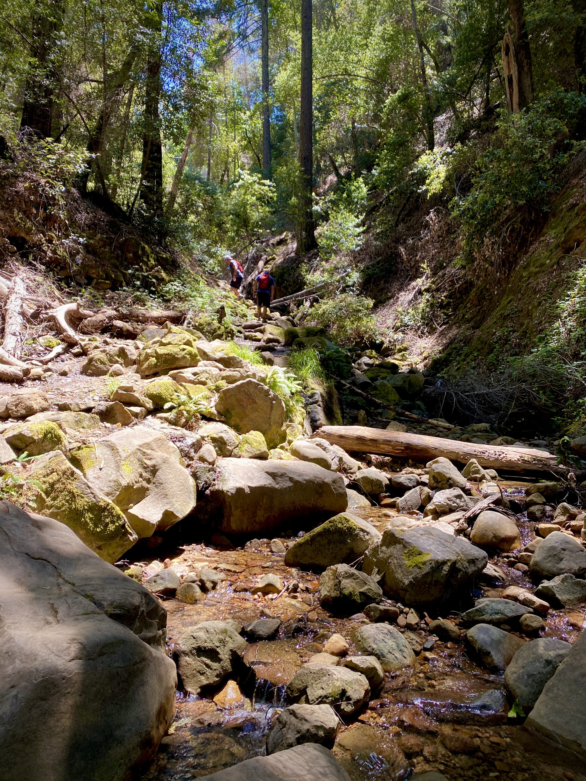 Hiking Uvas Canyon - Hitting Dirt - A Hiking Destination Blog for